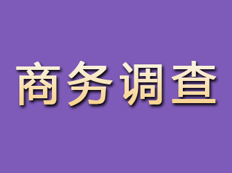 安吉商务调查